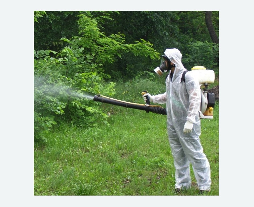 обработка территории от клещей в Кудрово