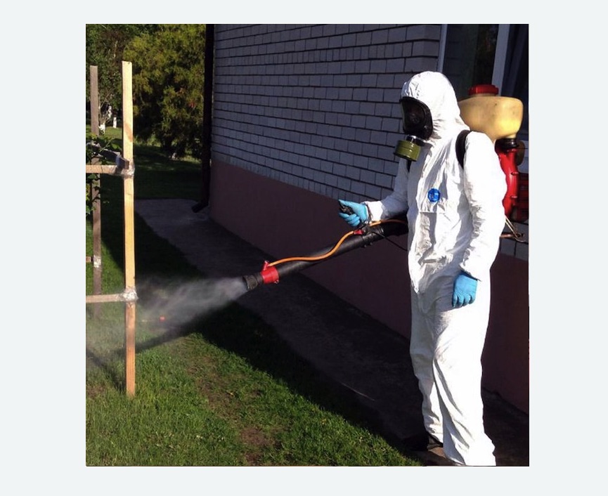 травля клещей на участке в Кудрово