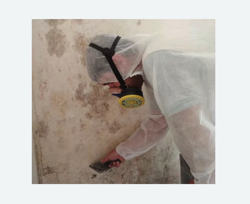 Обработка стен от плесени в Кудрово