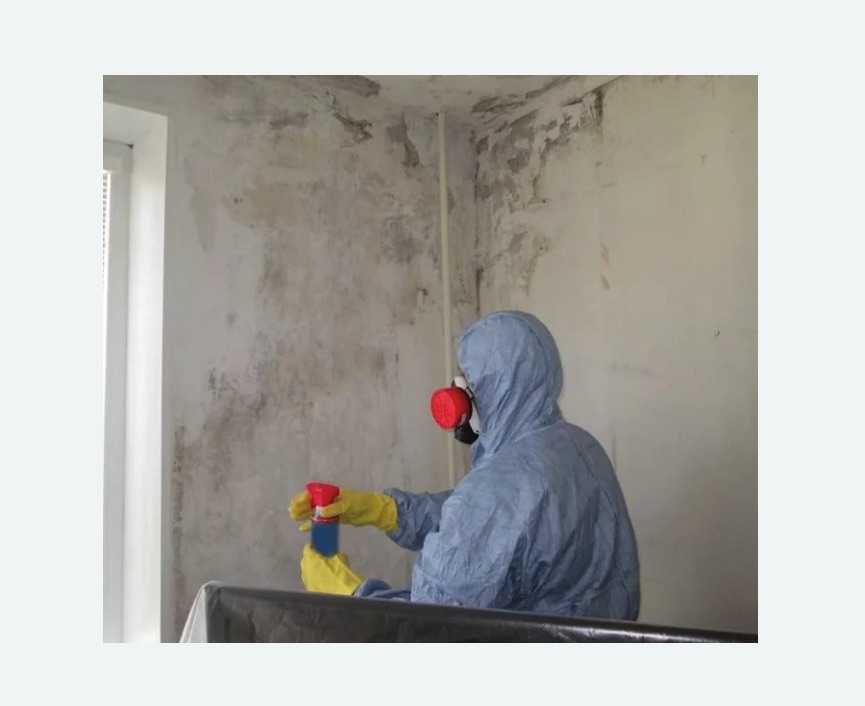 Удаление плесени в квартире в Кудрово