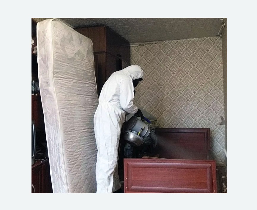 дезинфекция от клопов в Кудрово