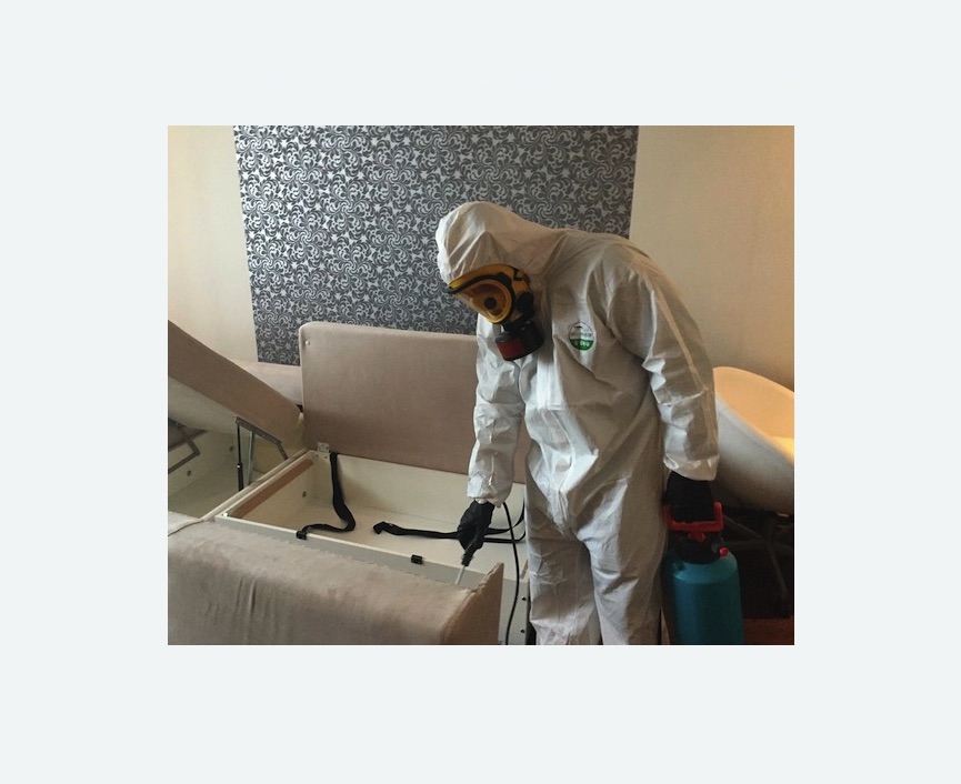 уничтожение клопов в квартире в Кудрово