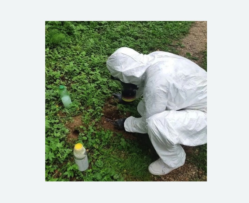 уничтожение кротов на участке в Кудрово