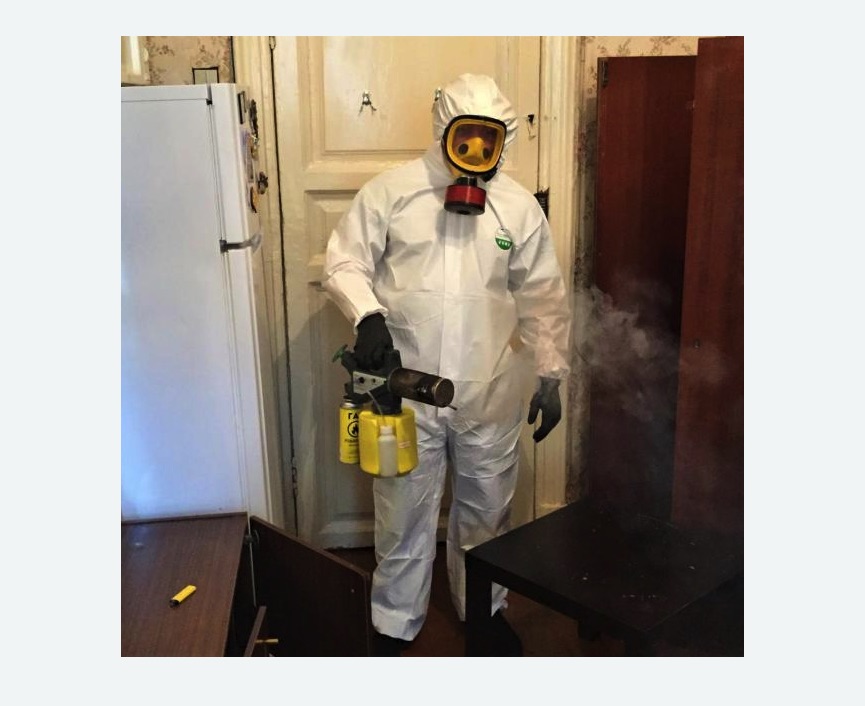 уничтожение муравьев в квартире в Кудрово